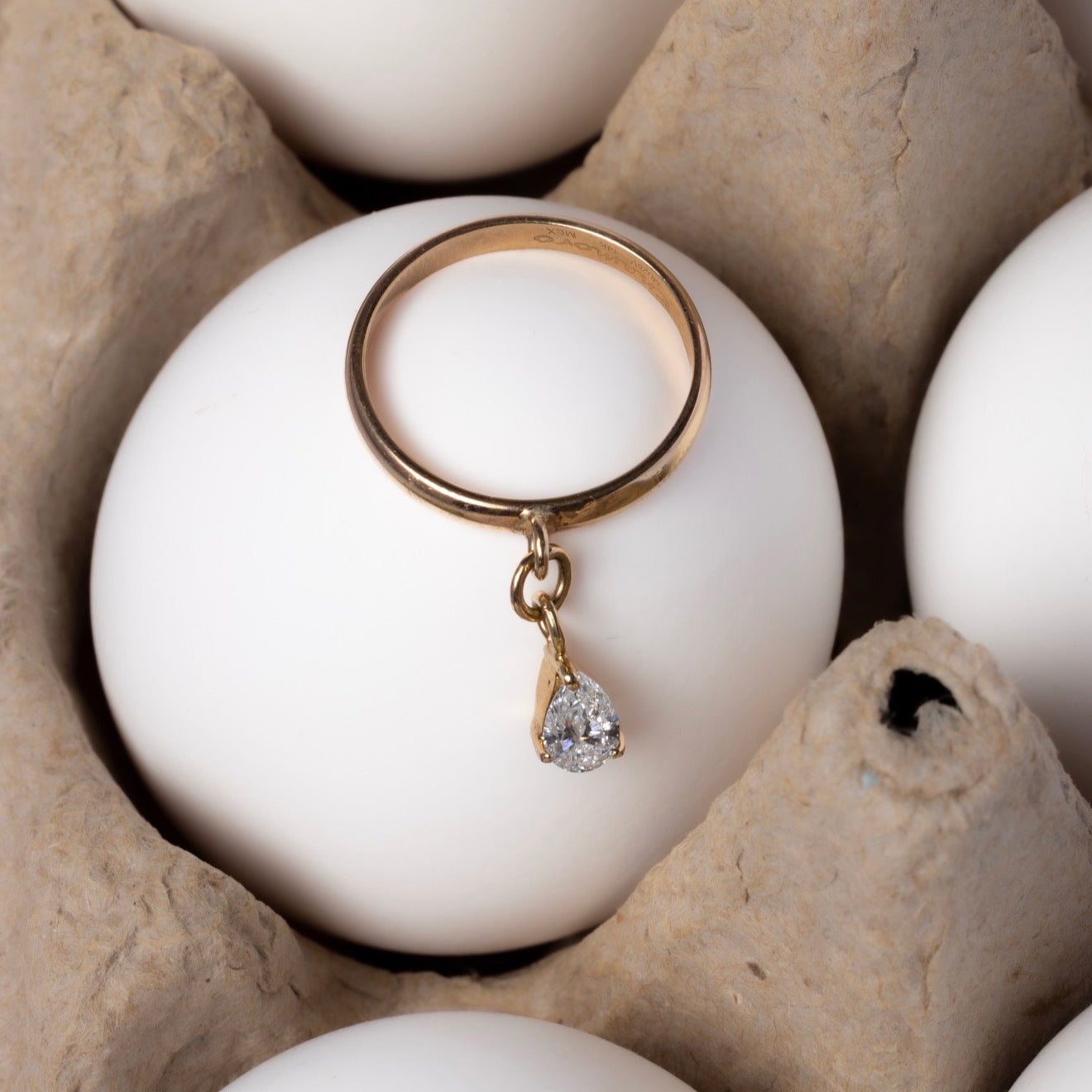 Drop Ring