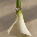 Marquise Pinky Ring